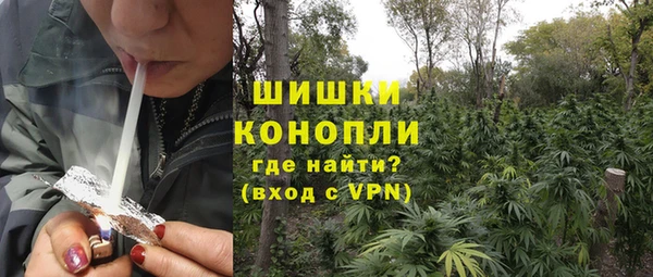 крисы Арсеньев