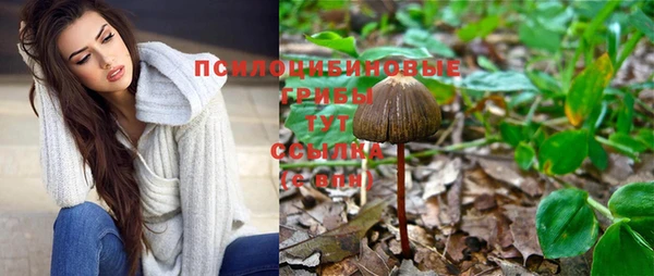 крисы Арсеньев