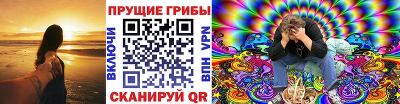 сайты даркнета официальный сайт  Пушкино  Псилоцибиновые грибы MAGIC MUSHROOMS  как найти наркотики 