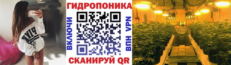 Каннабис Amnesia Пушкино